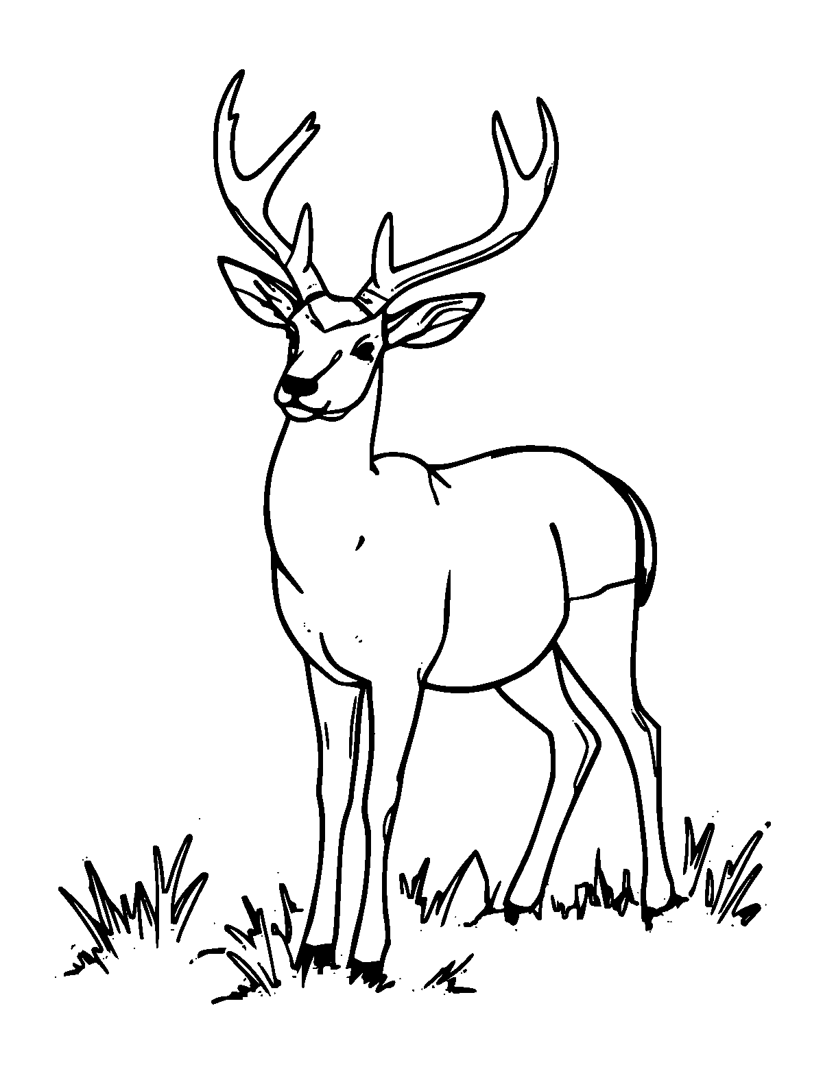 Line-art coloring page of Fallow Deer, medium outlines, centered