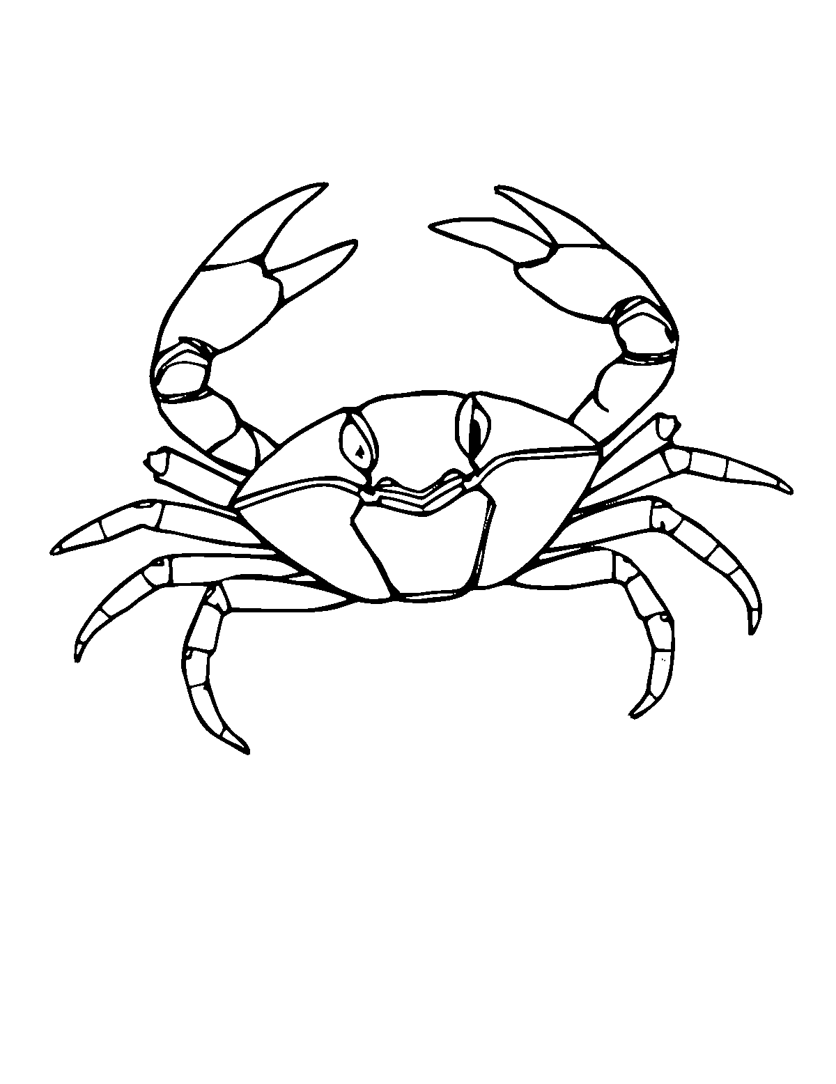Line-art coloring page of Fiddler Crab, medium outlines, centered