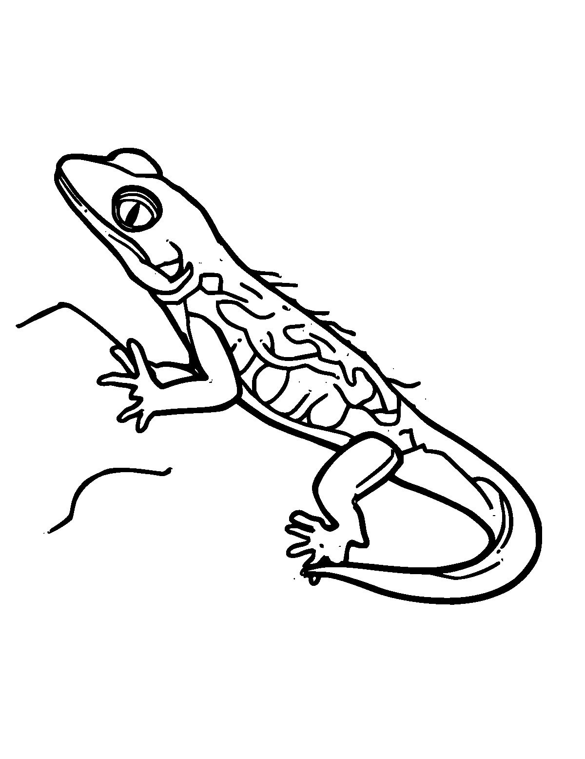 Line-art coloring page of Fire Salamander, thick outlines, centered