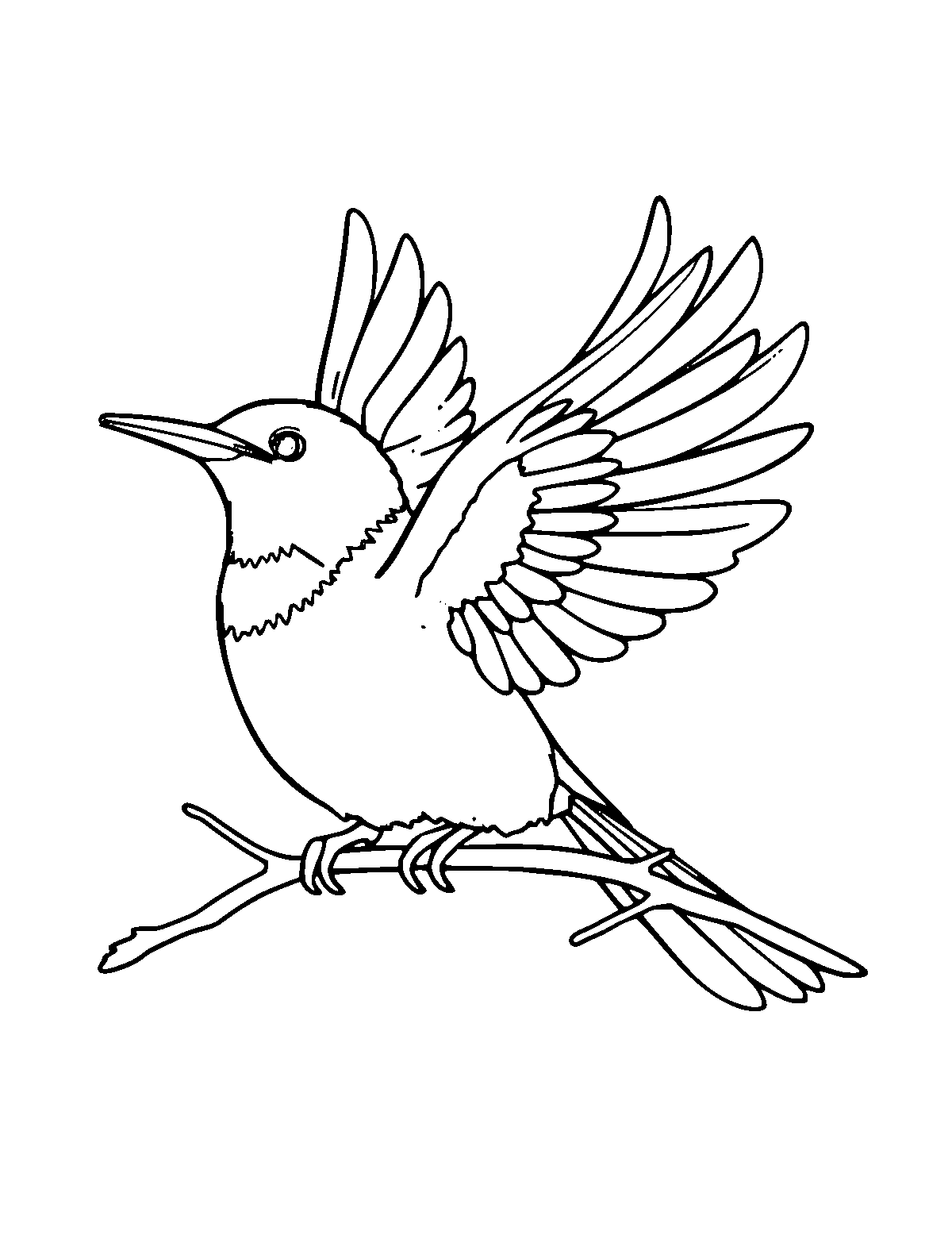 Line-art coloring page of Firebird, medium outlines, centered
