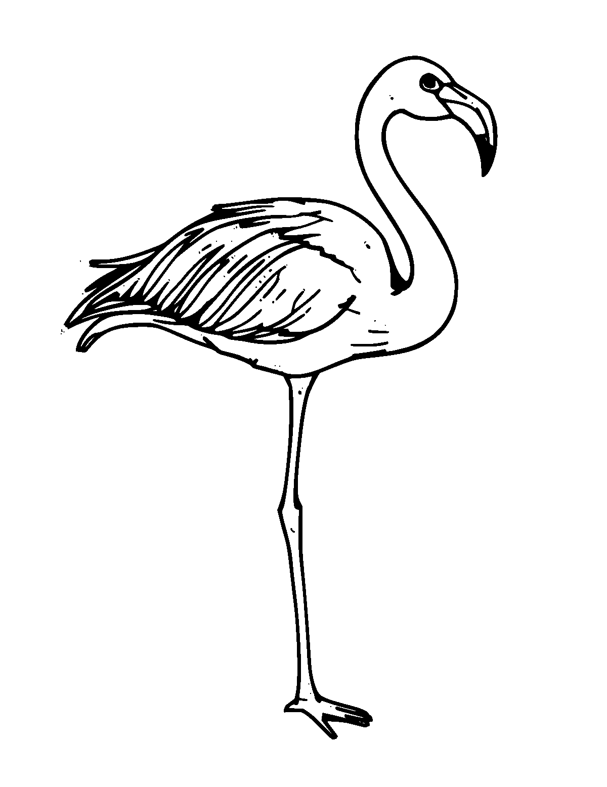 Line-art coloring page of Flamingo, medium outlines, centered