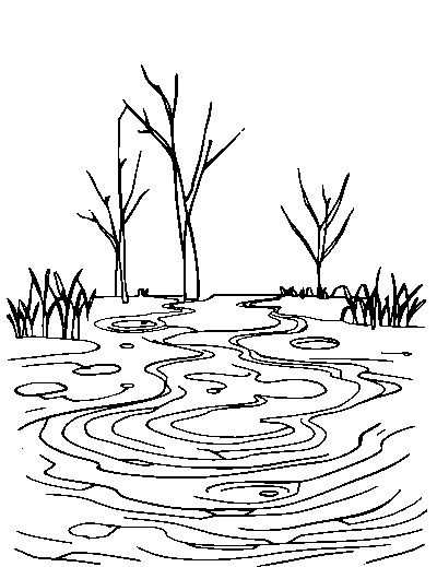 Flood Water