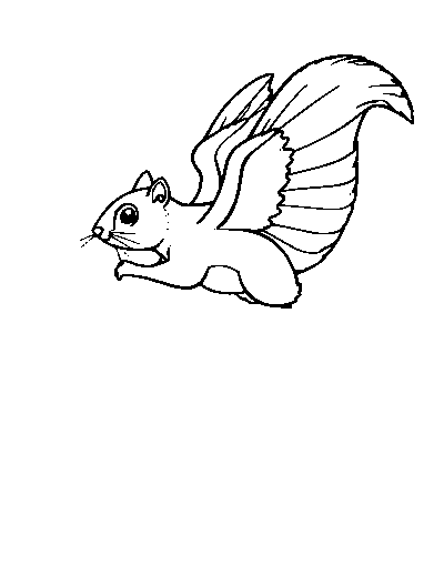 Flying Squirrel