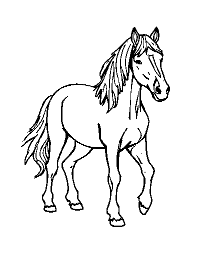 Friesian Horse
