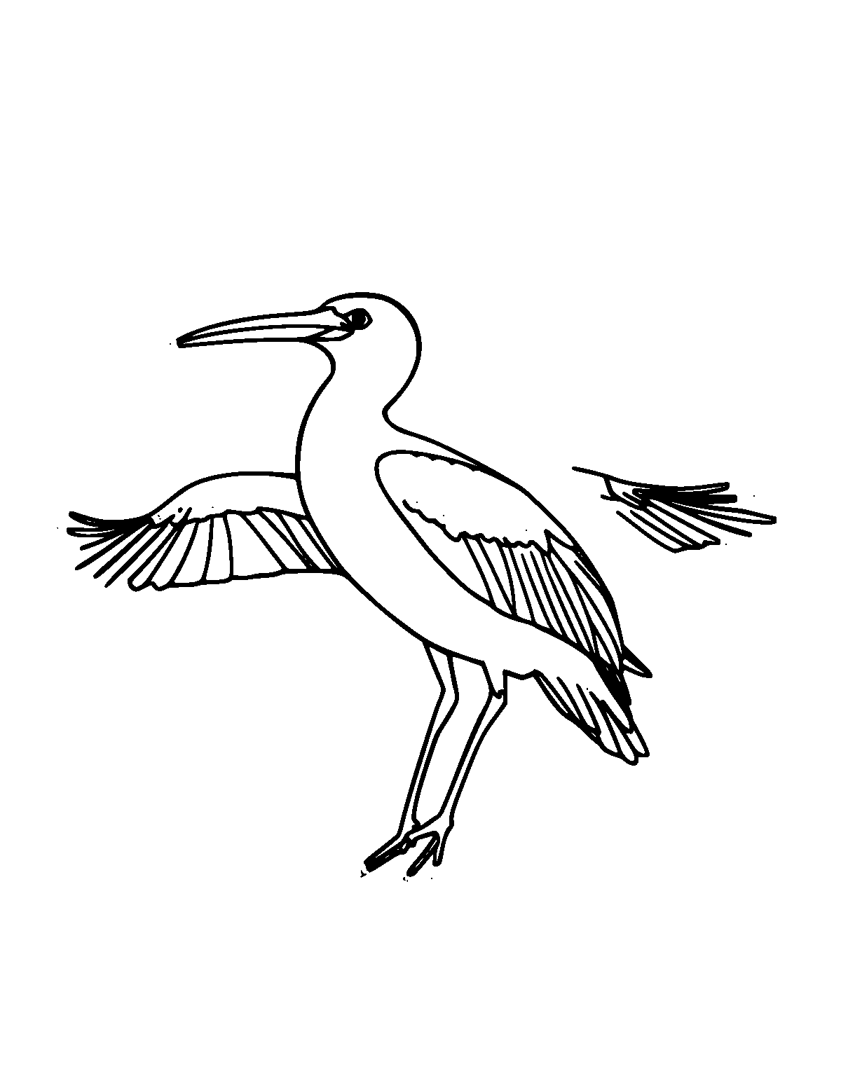 Line-art coloring page of Frigatebird, medium outlines, centered