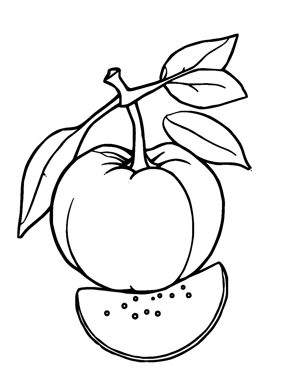 Line-art coloring page of Fruit, thick outlines, centered