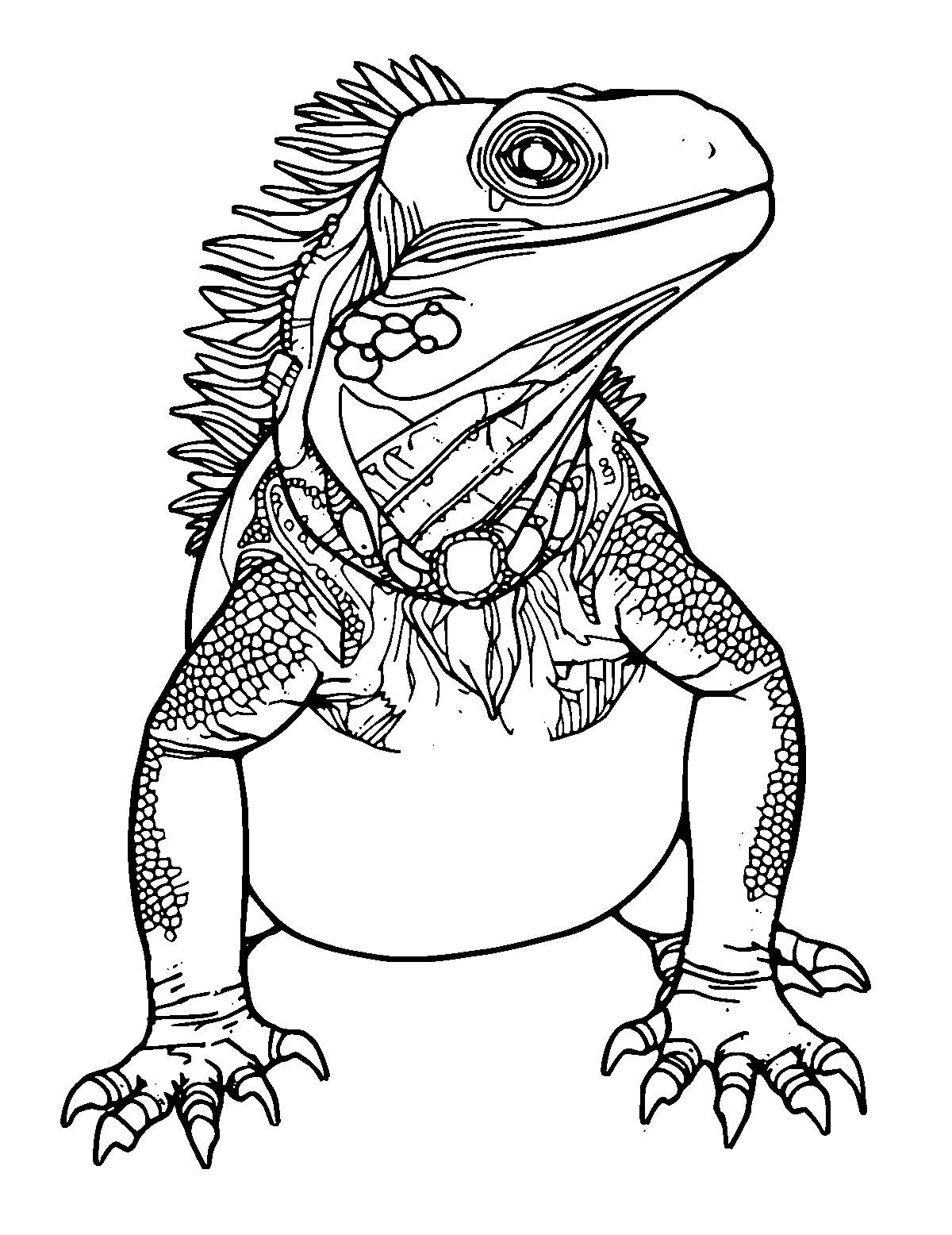 Line-art coloring page of Galapagos Iguana, medium outlines, centered