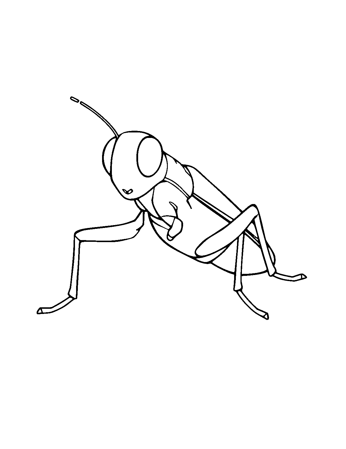 Line-art coloring page of Grasshopper, medium outlines, centered