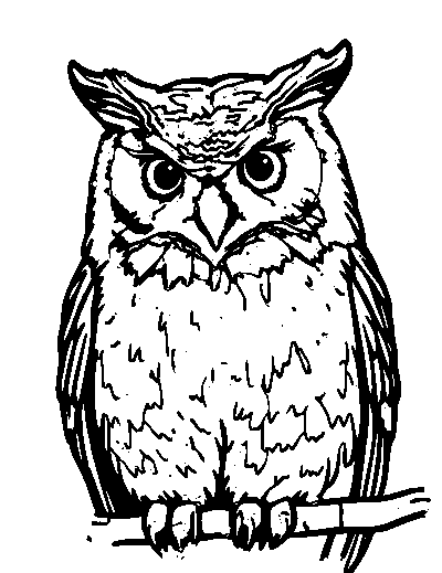 Great Horned Owl