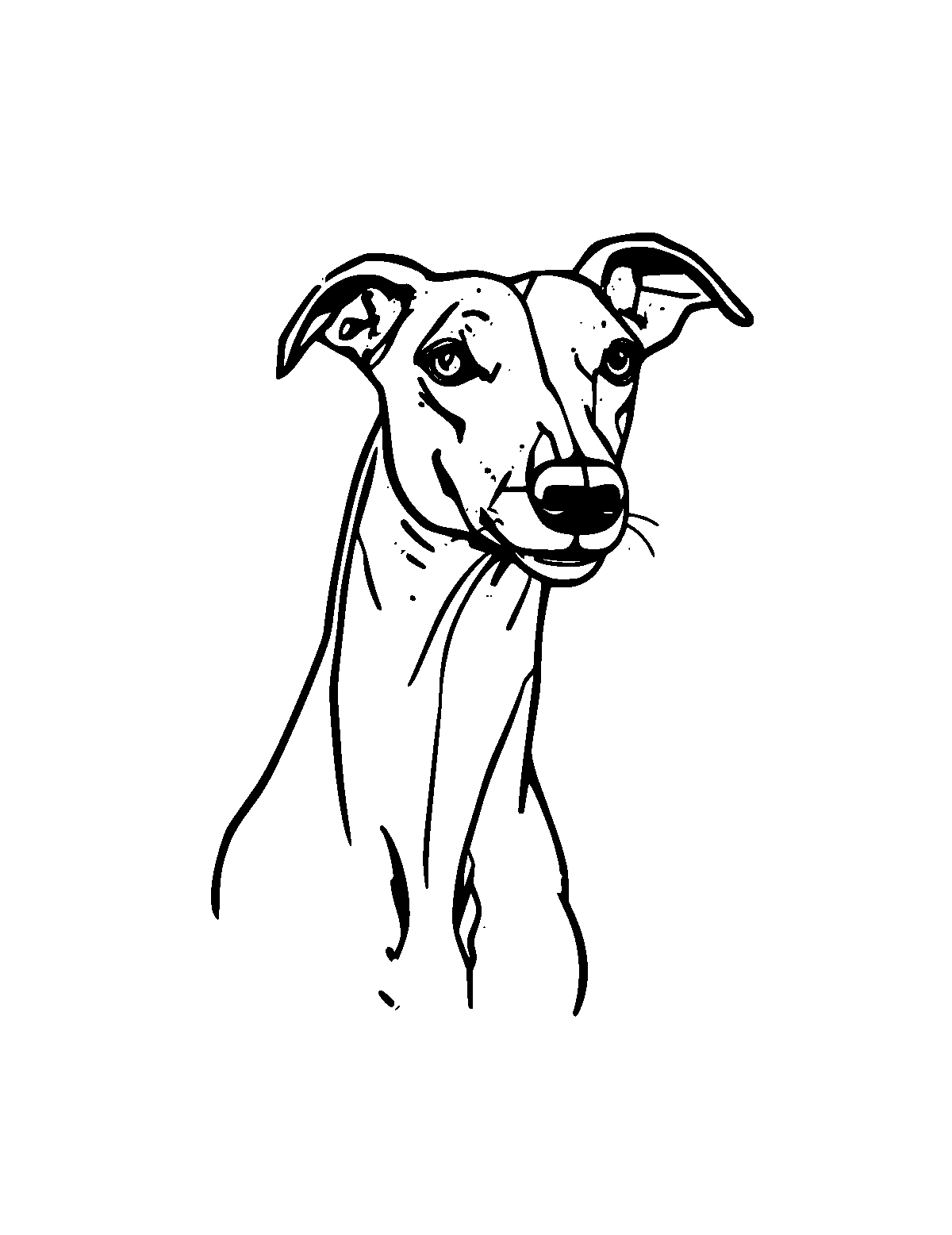 Line-art coloring page of Greyhound, medium outlines, centered