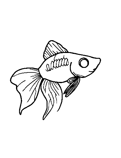 Guppy