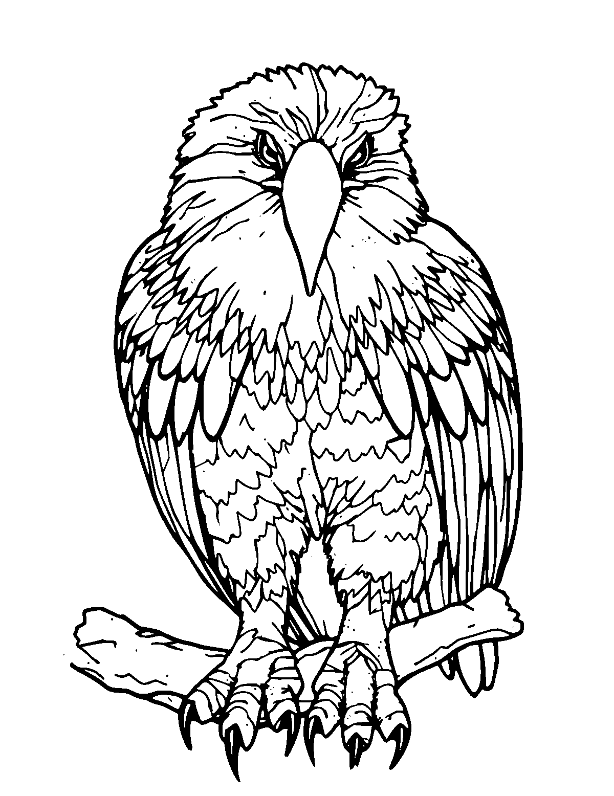 Line-art coloring page of Harpy Eagle, medium outlines, centered