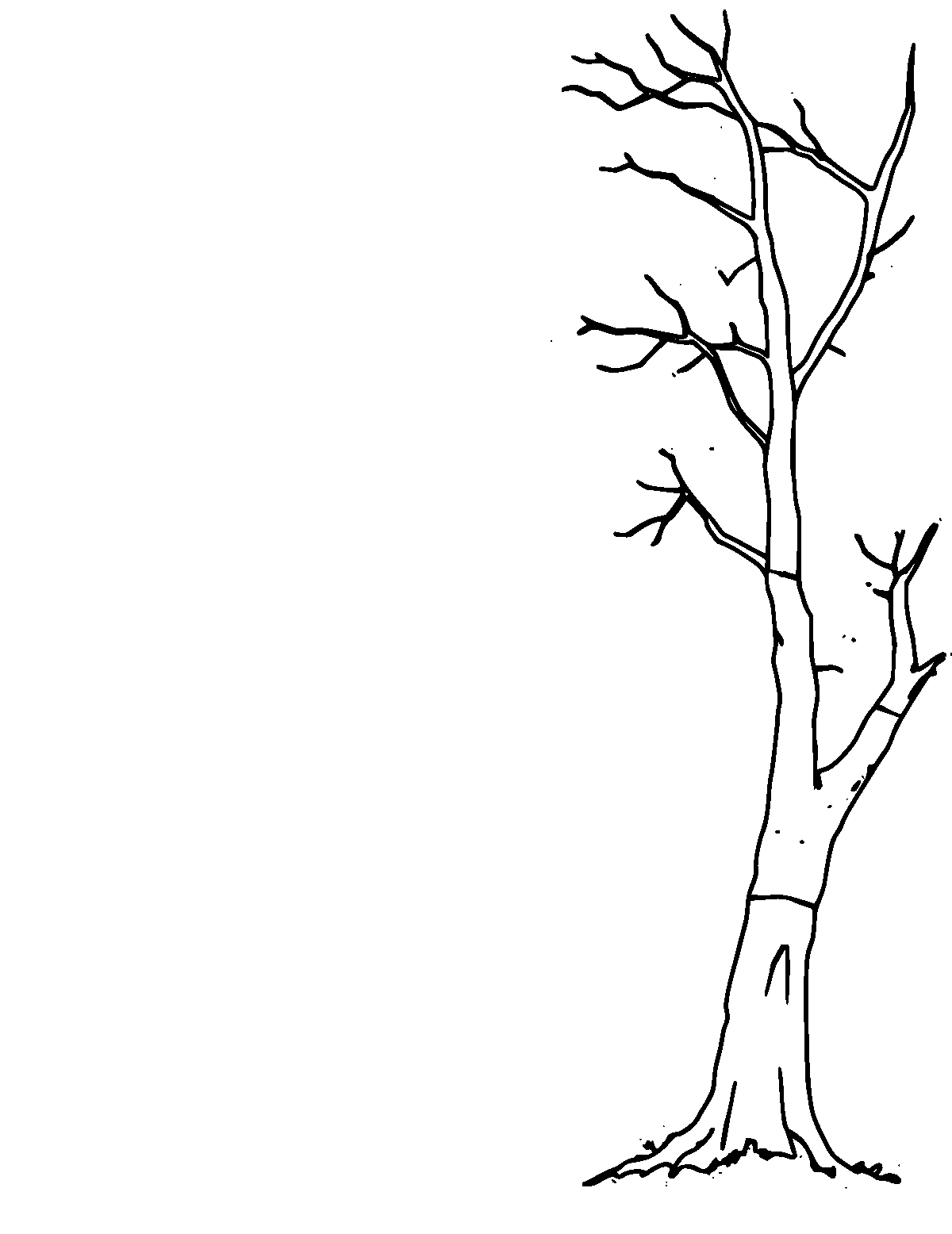 Line-art coloring page of Hayao Miyazaki, medium outlines, centered