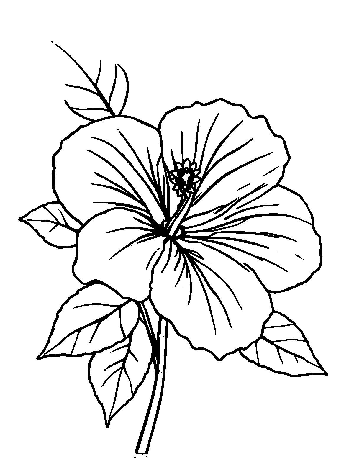 Line-art coloring page of Hibiscus, medium outlines, centered