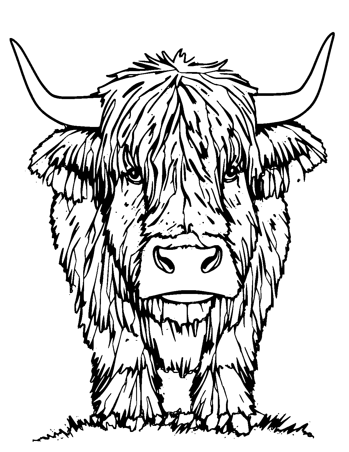 Line-art coloring page of Highland Cattle, medium outlines, centered