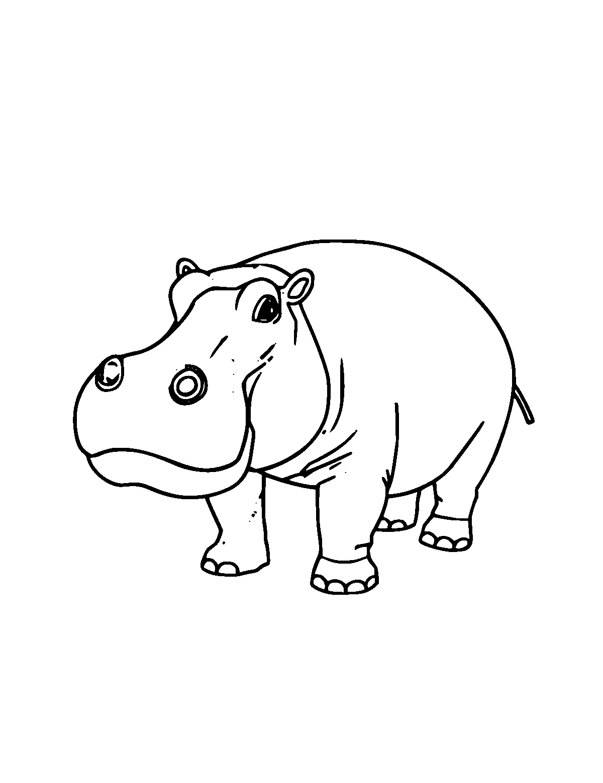 Line-art coloring page of Hippopotamus, medium outlines, centered