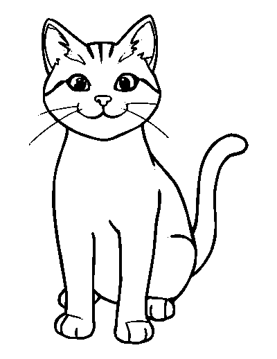 House Cat