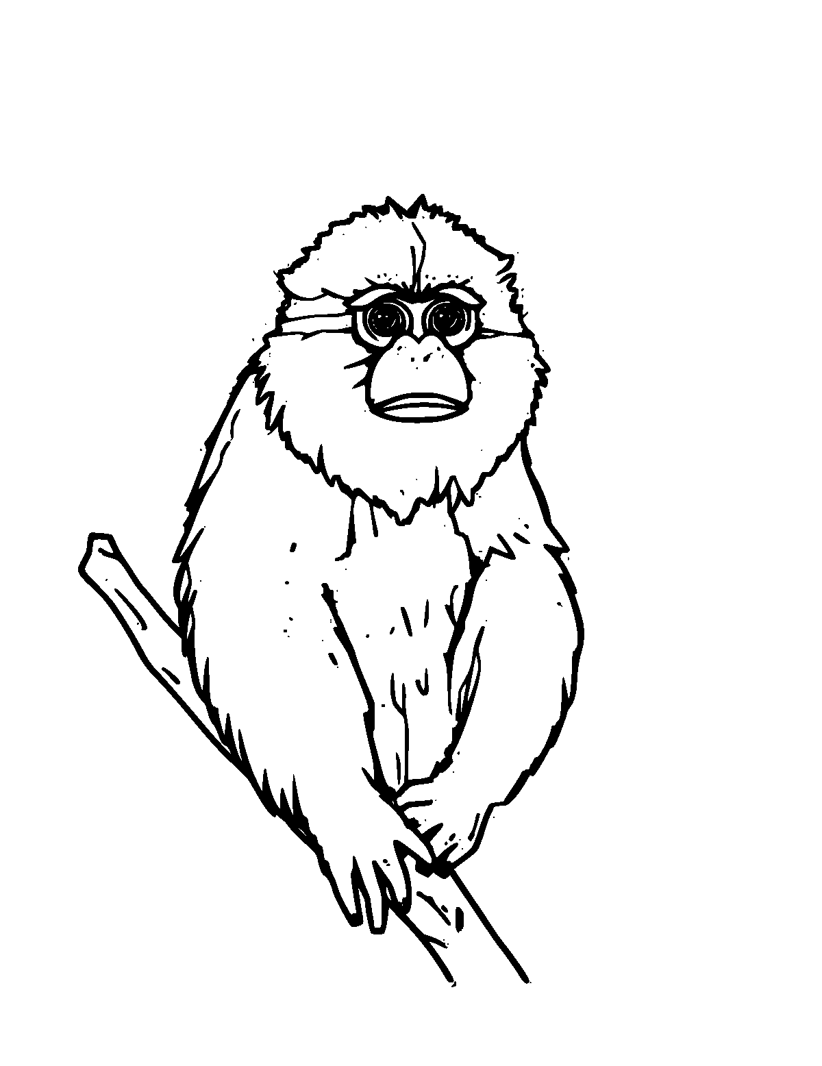 Line-art coloring page of Howler Monkey, medium outlines, centered