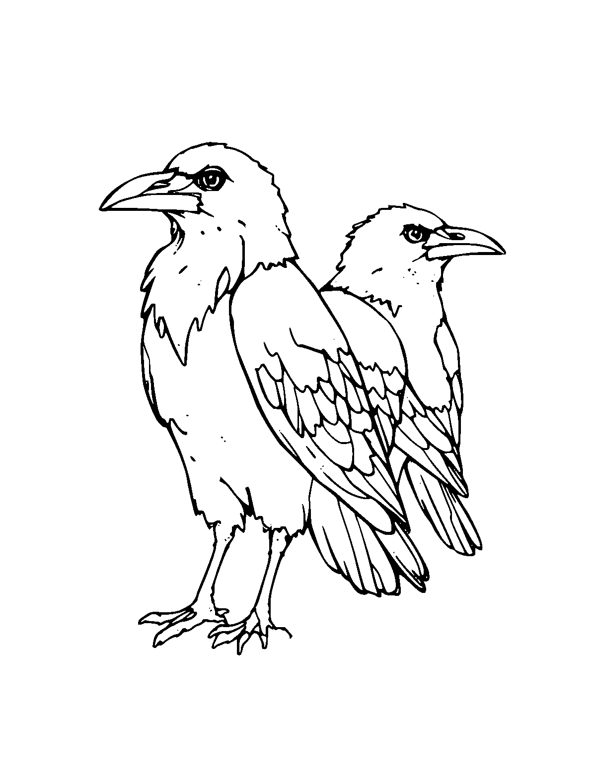 Line-art coloring page of Huginn and Muninn the Ravens, medium outlines, centered
