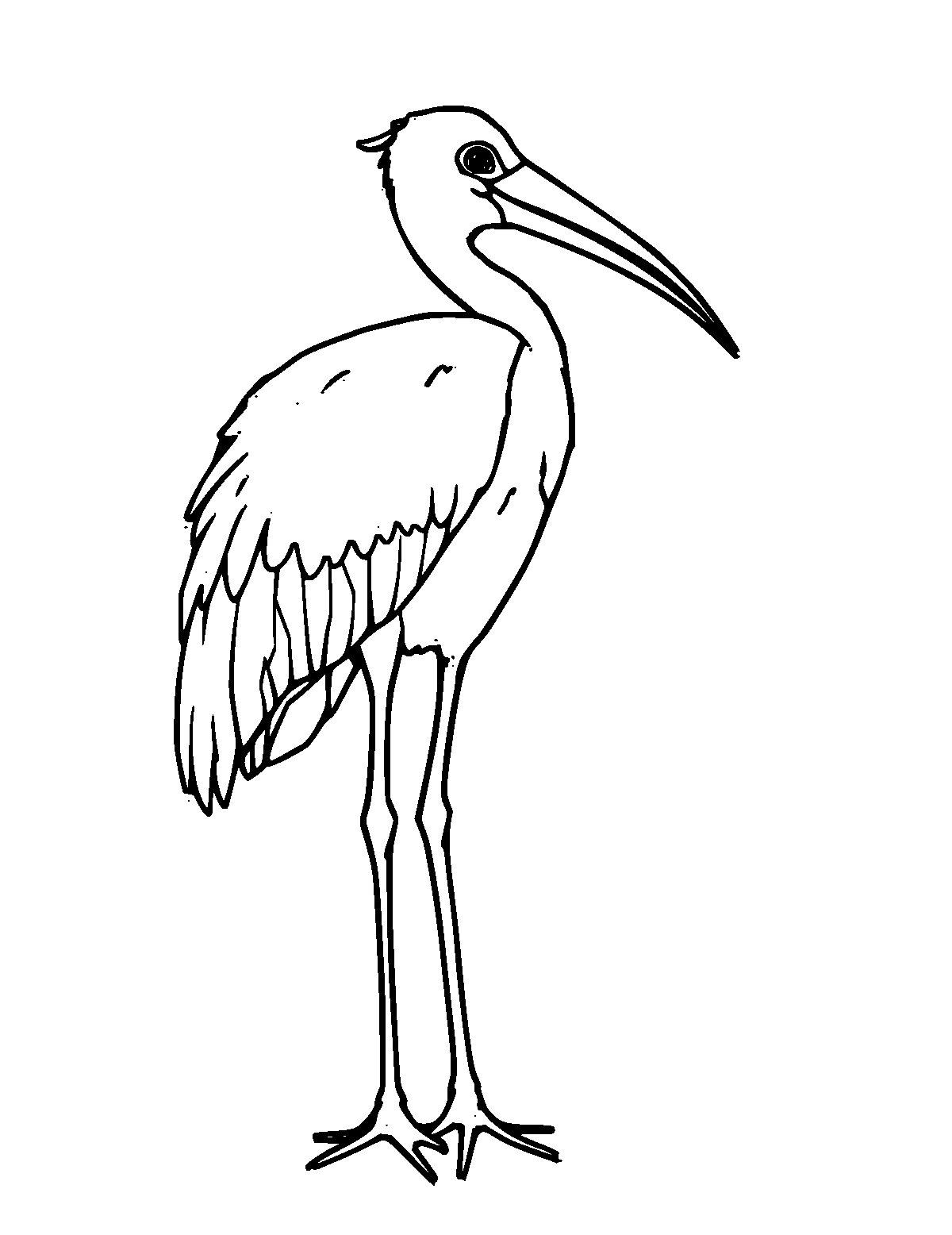Line-art coloring page of Ibis, medium outlines, centered