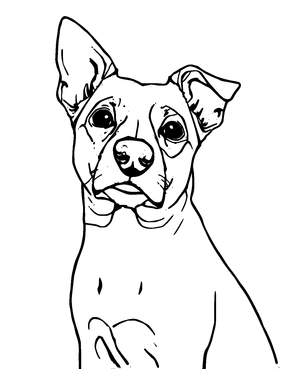 Line-art coloring page of Jack Russell Terrier, medium outlines, centered