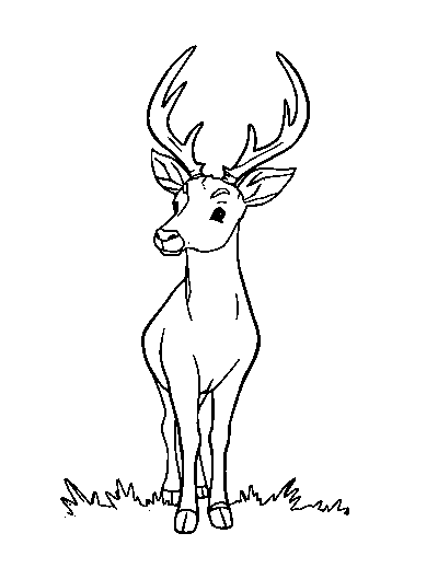 Jackalope
