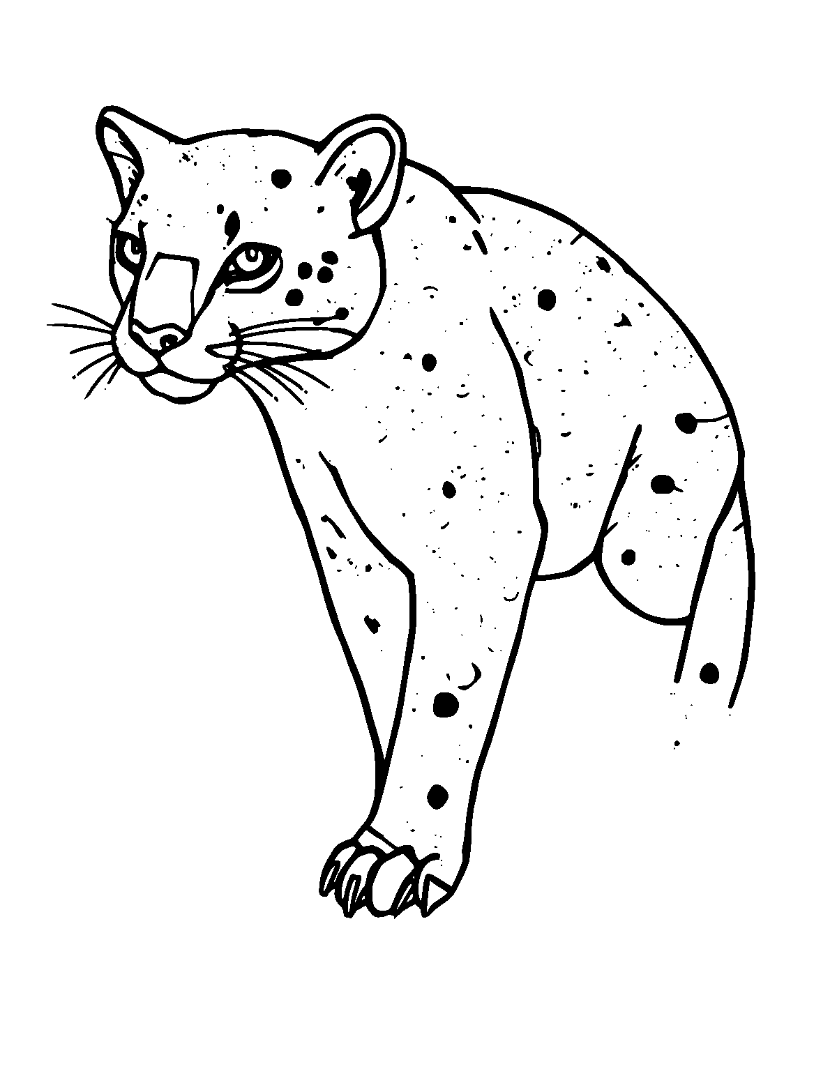 Line-art coloring page of Jaguarundi, medium outlines, centered
