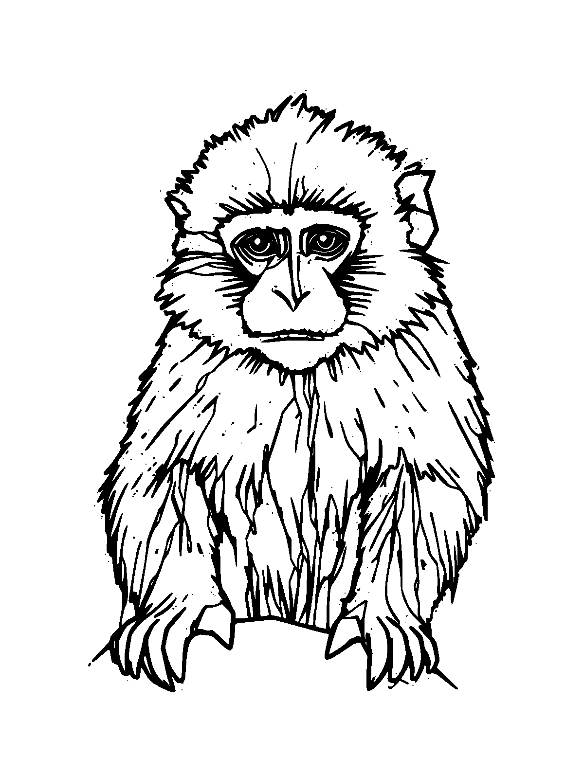 Line-art coloring page of Japanese Macaque, medium outlines, centered