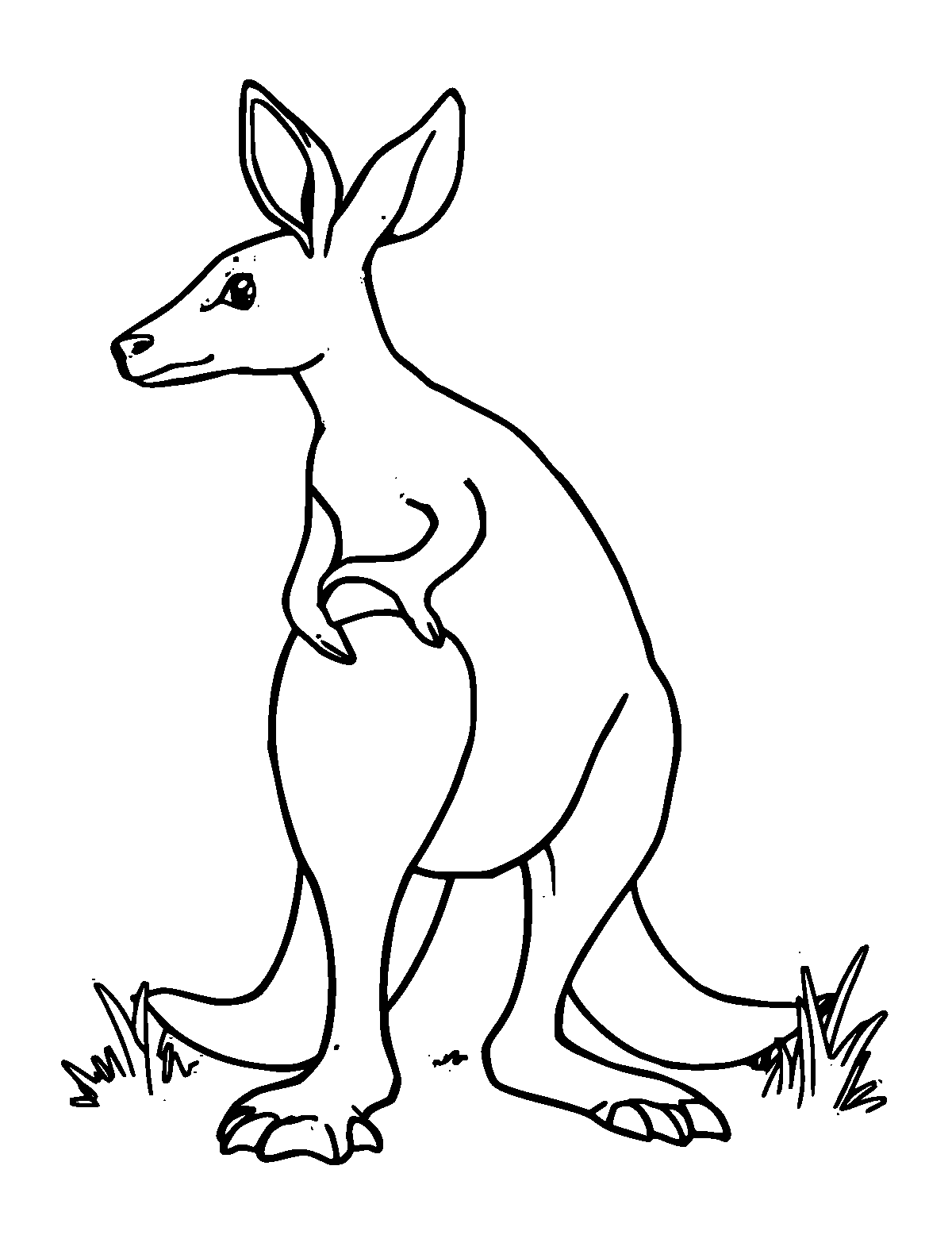 Line-art coloring page of Joey Kangaroo, medium outlines, centered