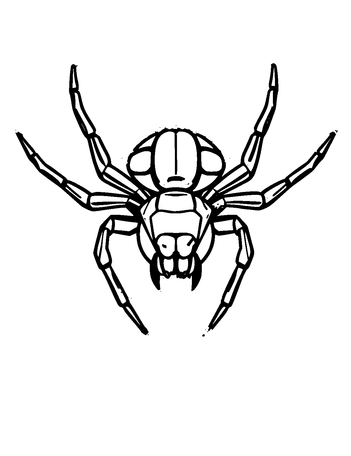Line-art coloring page of Jumping Spider, thick outlines, centered