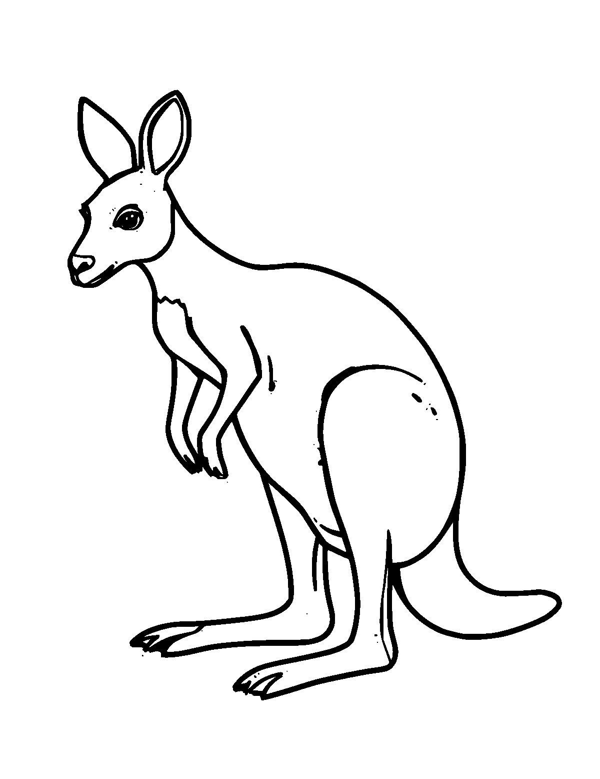 Line-art coloring page of Kangaroo, thick outlines, centered