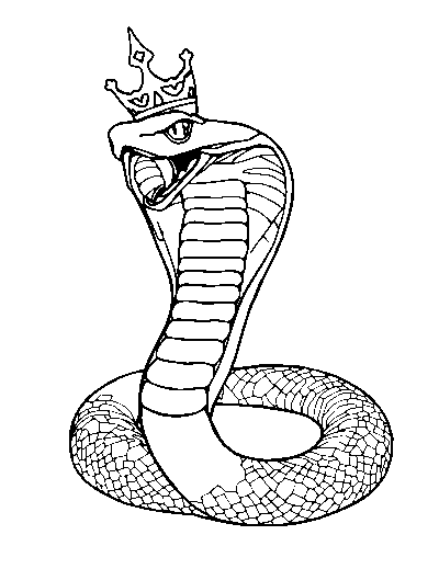 King Cobra
