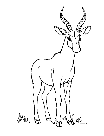 Kirin of the Savanna