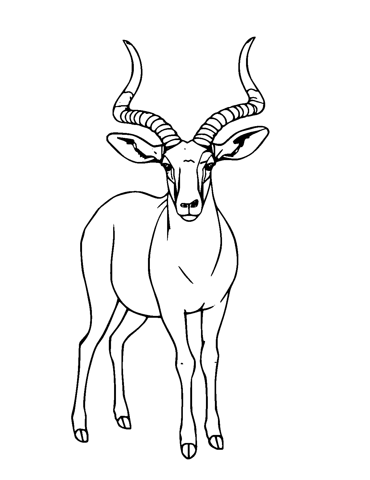 Line-art coloring page of Kudu, medium outlines, centered