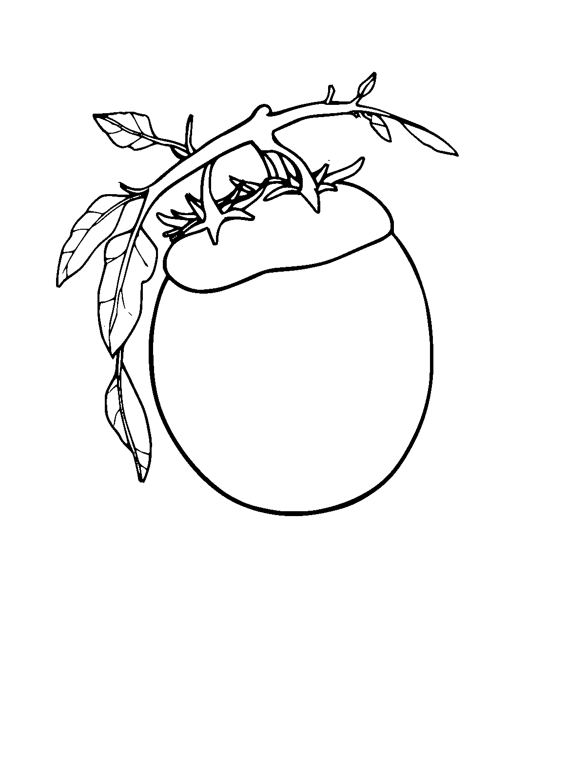 Line-art coloring page of La Tomatina, medium outlines, centered