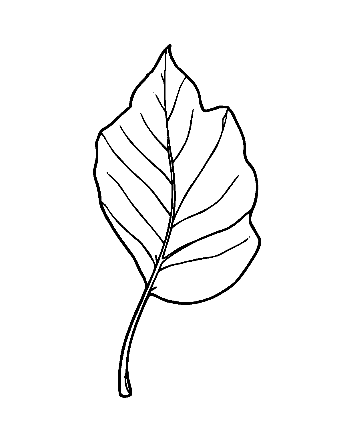 Line-art coloring page of Leaf, medium outlines, centered