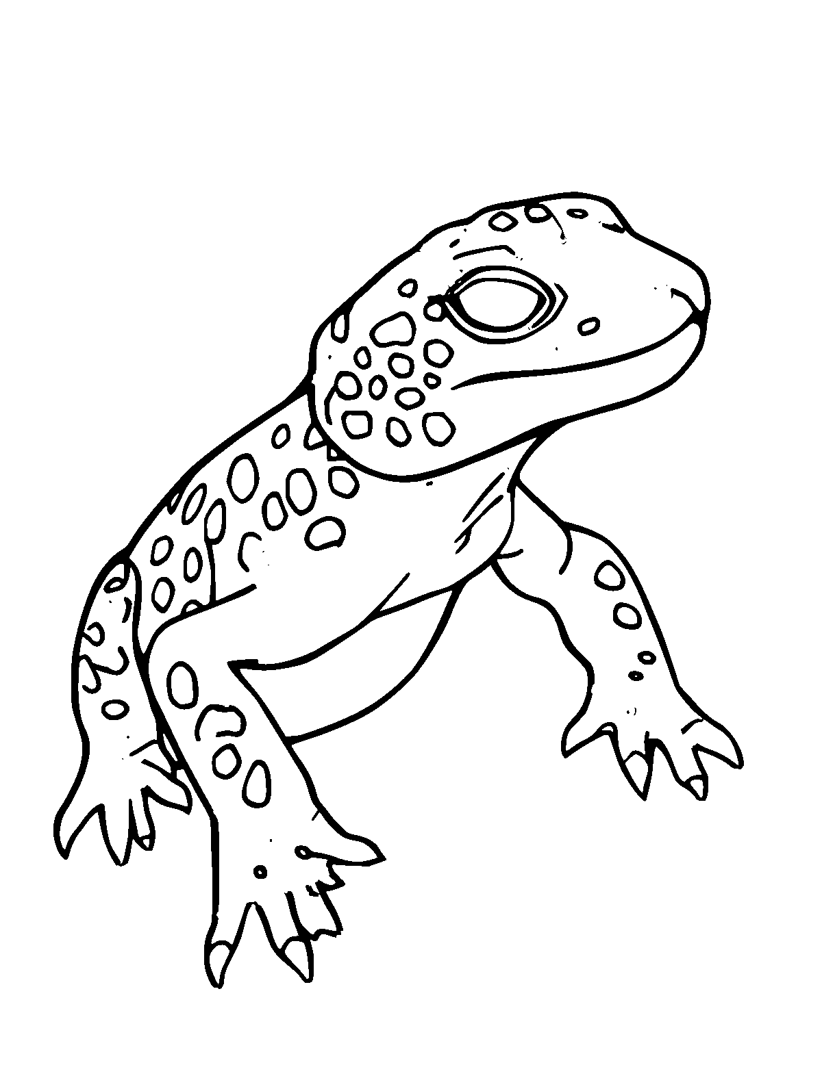 Line-art coloring page of Leopard Gecko, medium outlines, centered