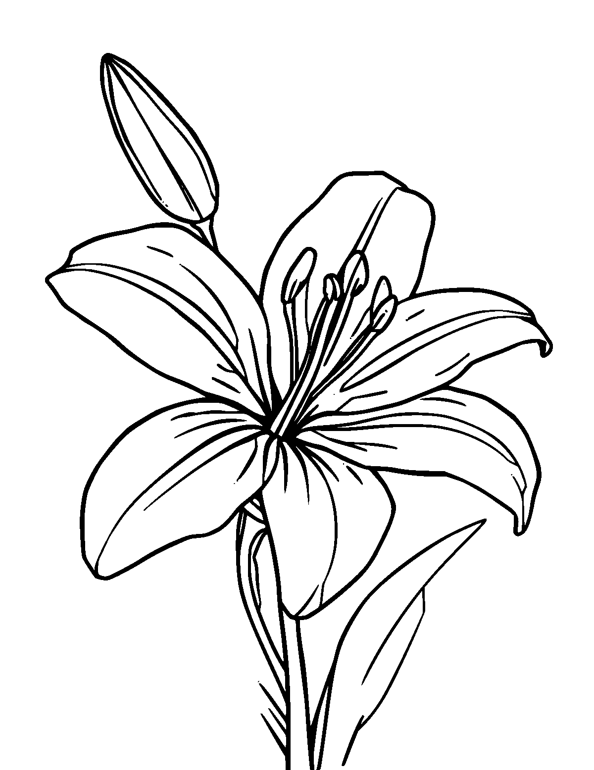 Line-art coloring page of Lily, medium outlines, centered