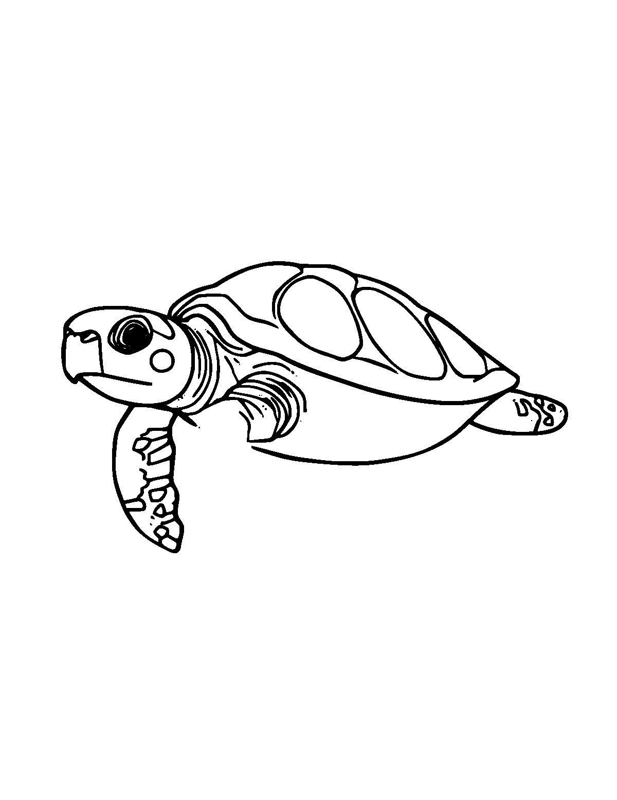 Line-art coloring page of Loggerhead Turtle, medium outlines, centered