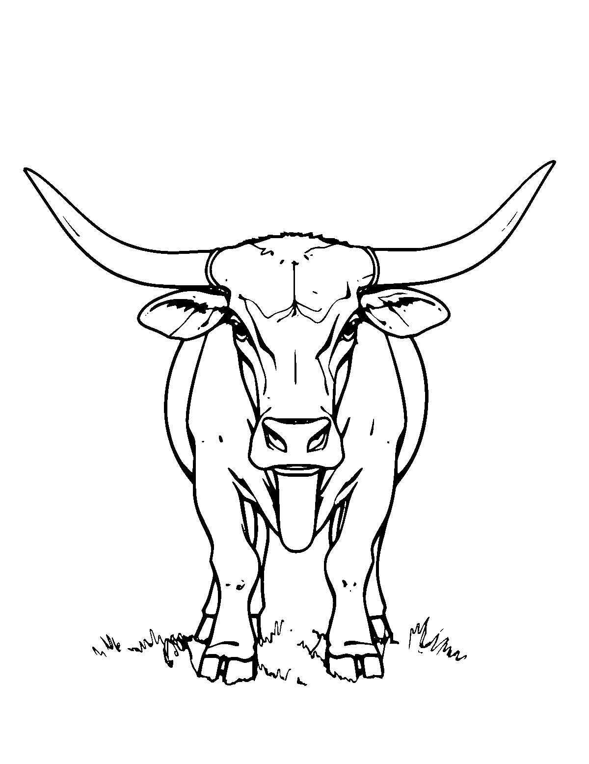Line-art coloring page of Longhorn Cattle, medium outlines, centered
