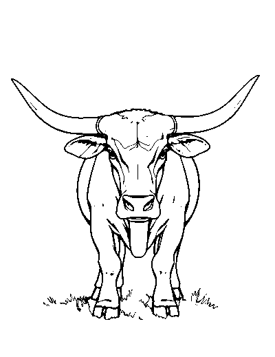 Longhorn Cattle