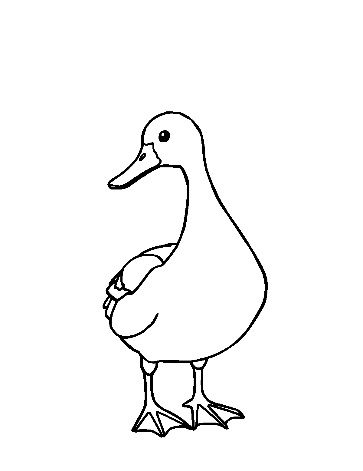 Line-art coloring page of Loon, medium outlines, centered