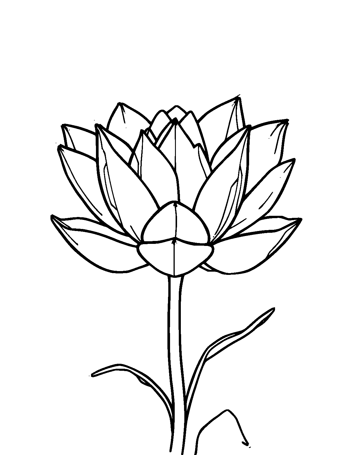 Line-art coloring page of Lotus, medium outlines, centered