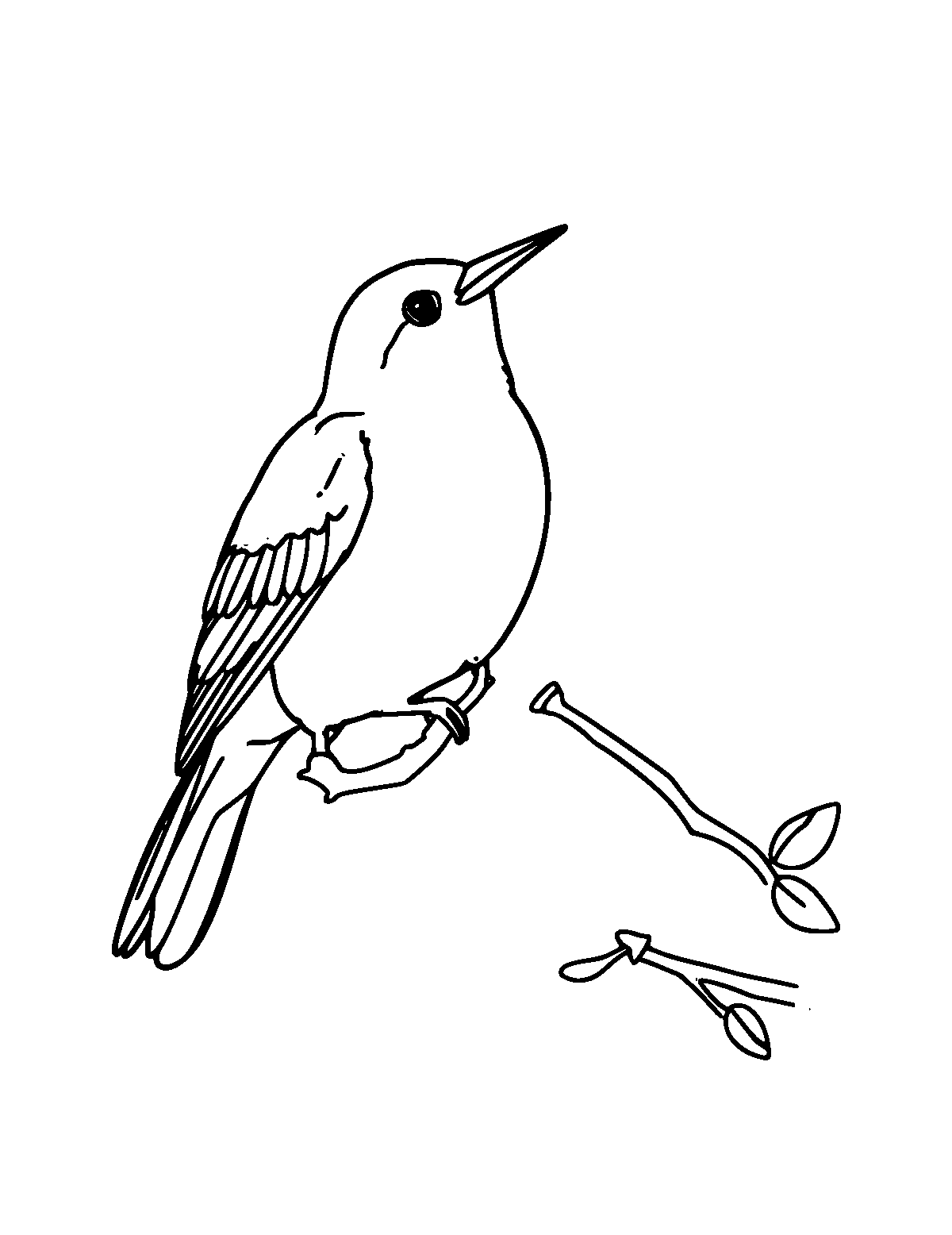 Line-art coloring page of Lovebird, medium outlines, centered