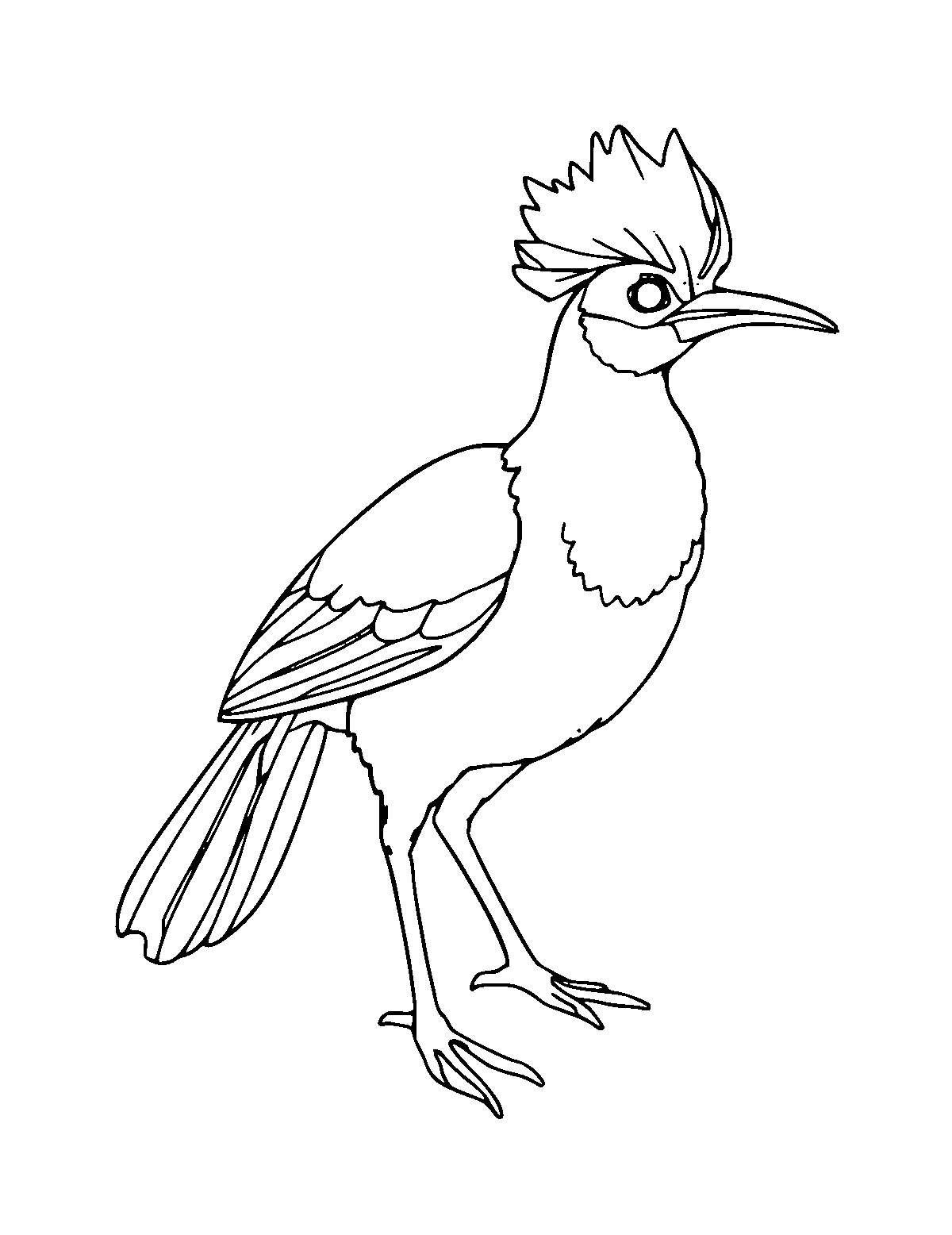 Line-art coloring page of Lyrebird, medium outlines, centered