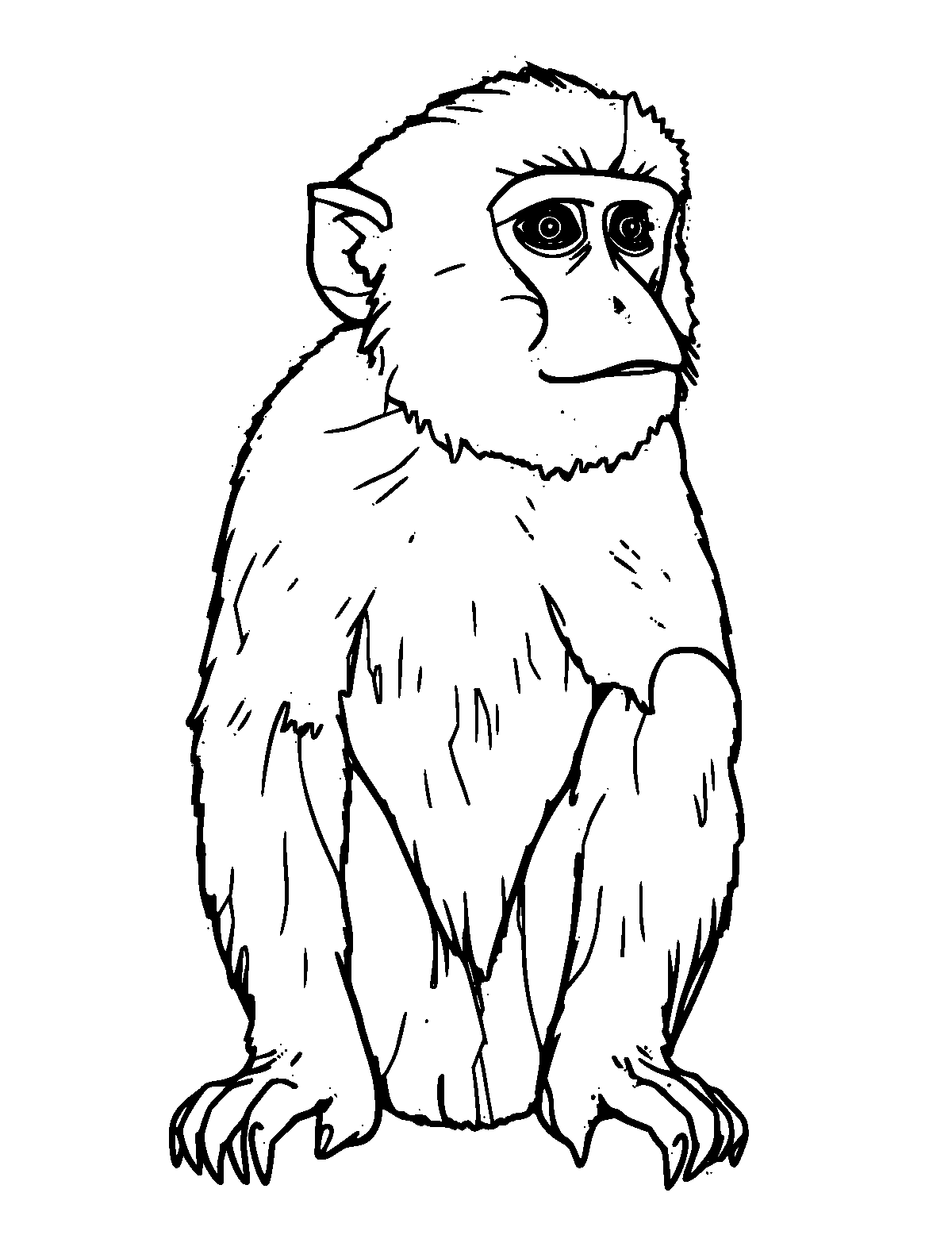 Line-art coloring page of Macaque, medium outlines, centered