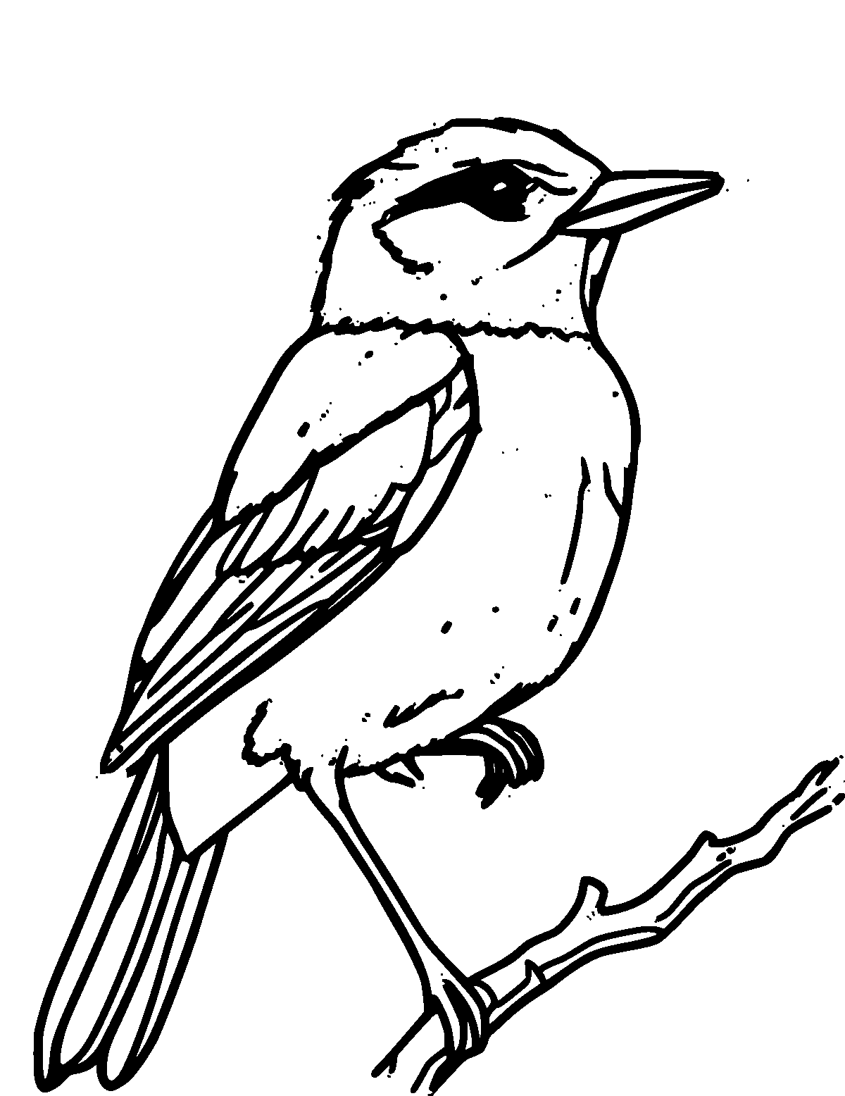 Line-art coloring page of Magpie, thick outlines, centered