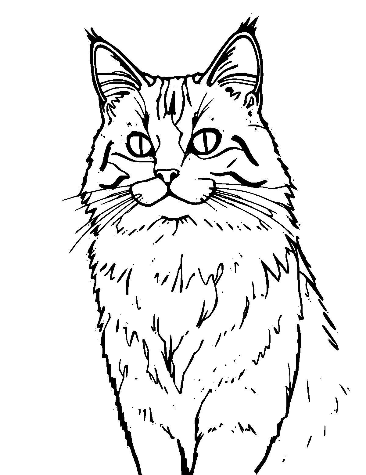Line-art coloring page of Maine Coon, medium outlines, centered