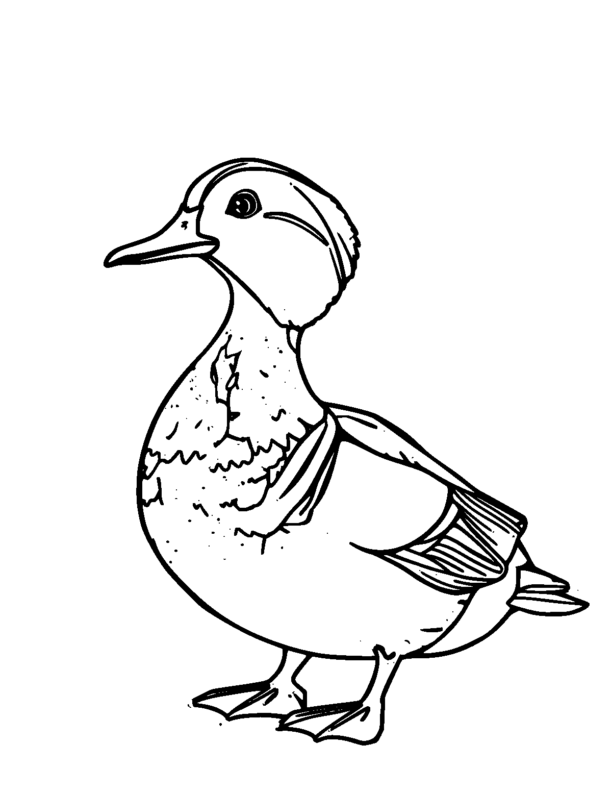 Line-art coloring page of Mandarin Duck, medium outlines, centered