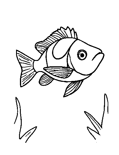 Mandarinfish
